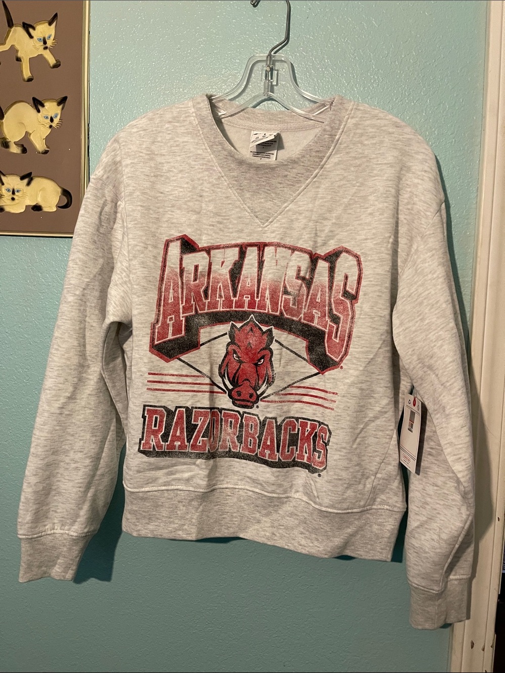 Arkansa Razorbacks Champion Light Gray Crewneck Pullover